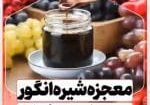 معجزه شیرانگور در درمان کم خونی